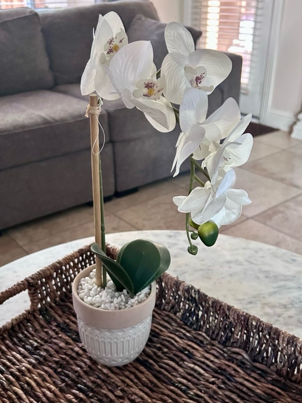 Artificial Phalaenopsis Moth Orchids In Decorative White Pot